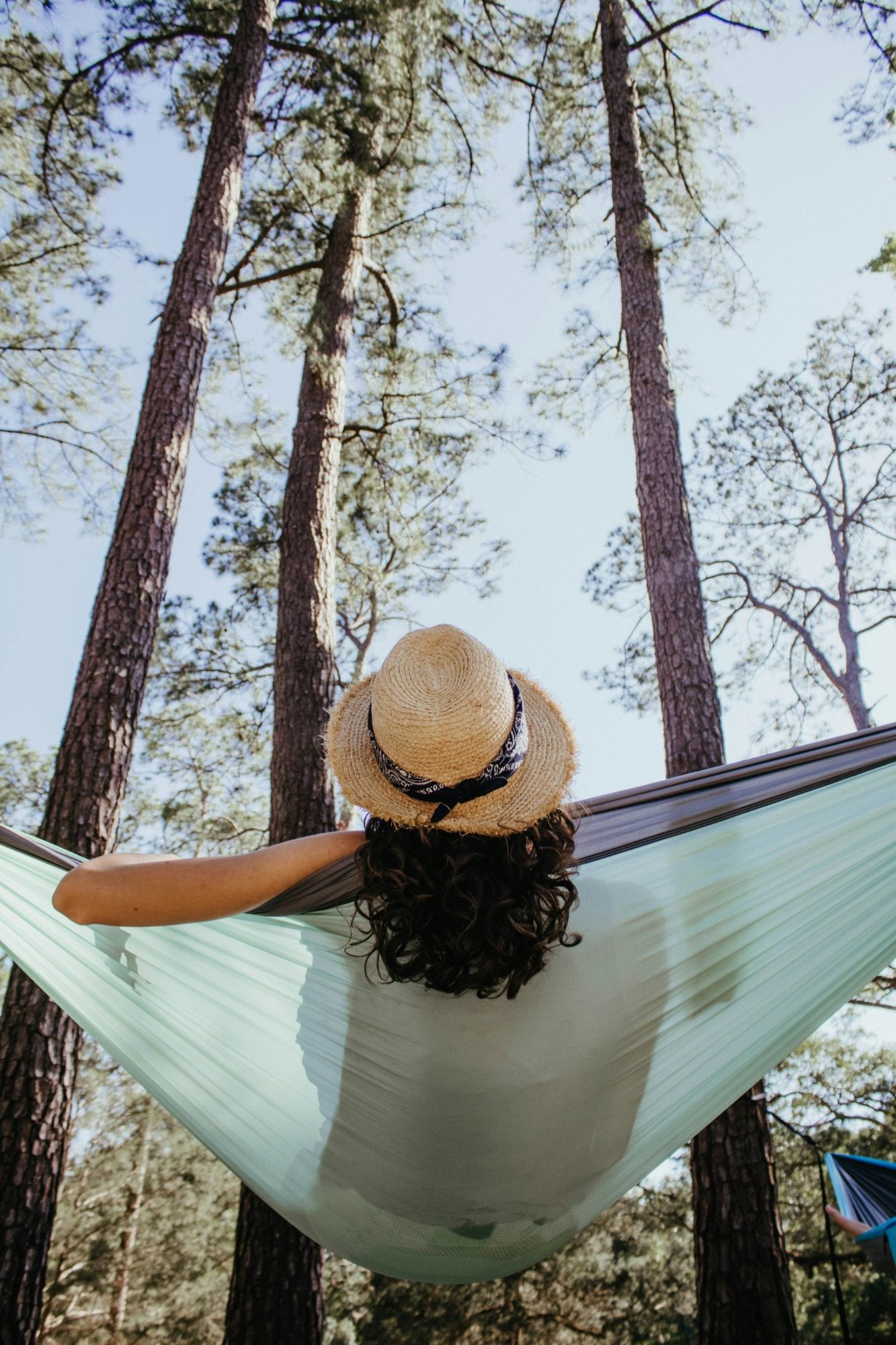 A person in a straw hat relaxing in a hammock beneath tall pine trees